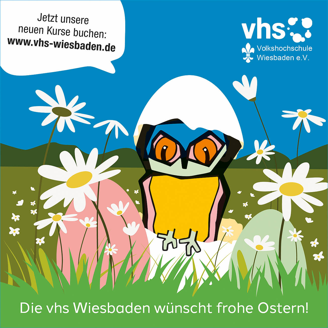 Bild: Eule in Eierschale